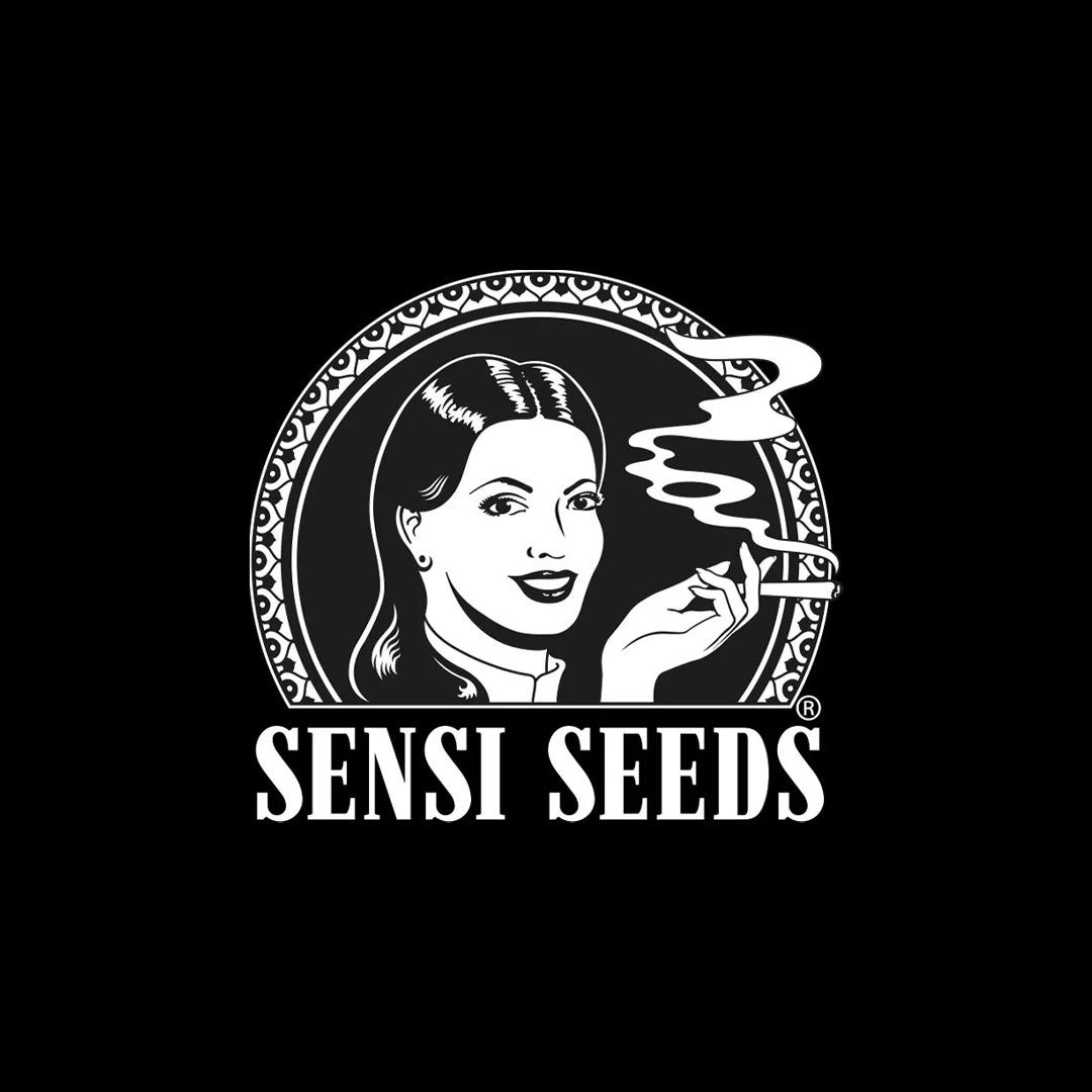 Sensi Seed