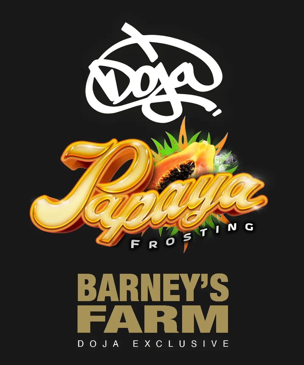 Papaya Frosting Strain